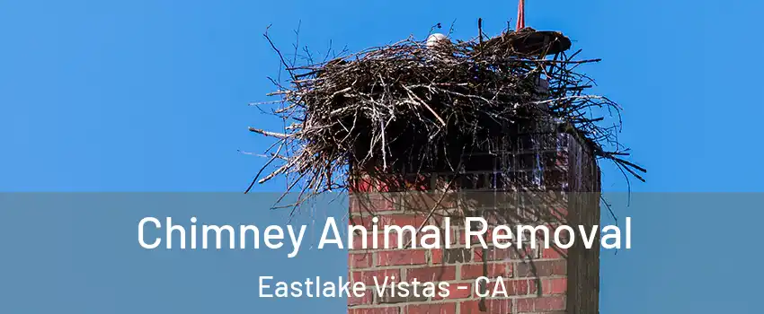 Chimney Animal Removal Eastlake Vistas - CA