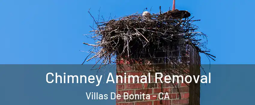 Chimney Animal Removal Villas De Bonita - CA