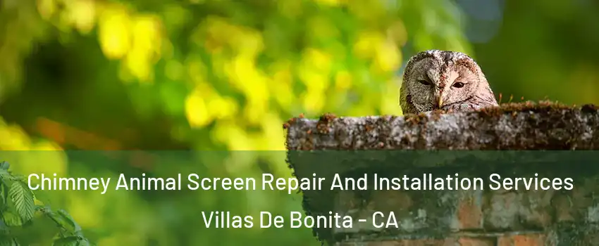 Chimney Animal Screen Repair And Installation Services Villas De Bonita - CA