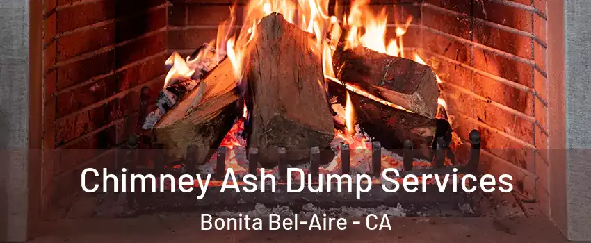 Chimney Ash Dump Services Bonita Bel-Aire - CA