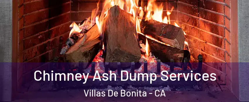 Chimney Ash Dump Services Villas De Bonita - CA