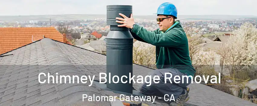 Chimney Blockage Removal Palomar Gateway - CA