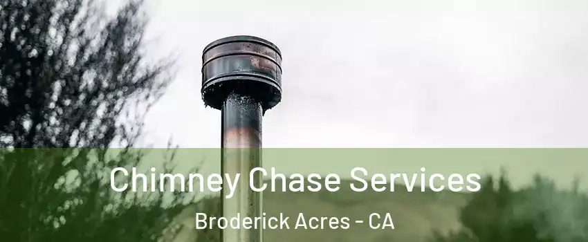 Chimney Chase Services Broderick Acres - CA