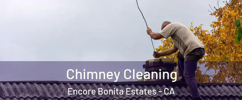 Chimney Cleaning Encore Bonita Estates - CA