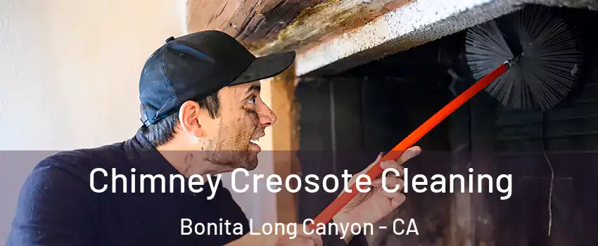 Chimney Creosote Cleaning Bonita Long Canyon - CA