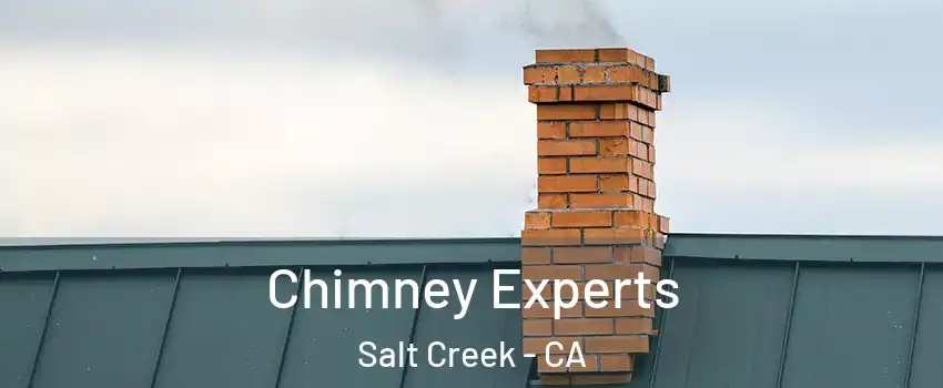 Chimney Experts Salt Creek - CA