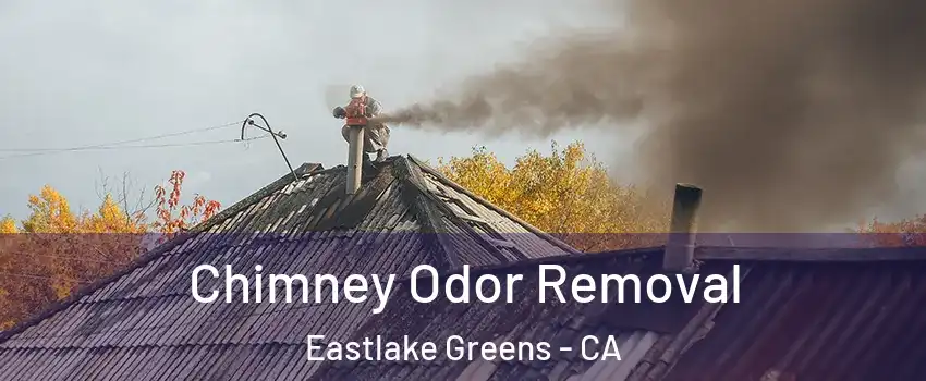 Chimney Odor Removal Eastlake Greens - CA