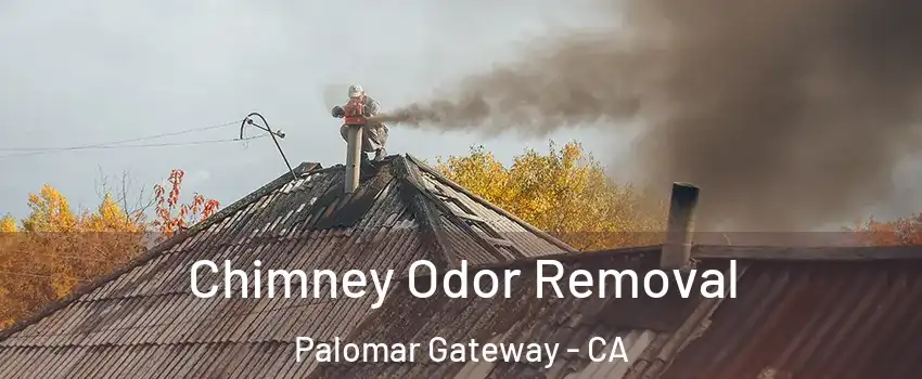 Chimney Odor Removal Palomar Gateway - CA