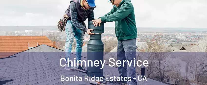 Chimney Service Bonita Ridge Estates - CA