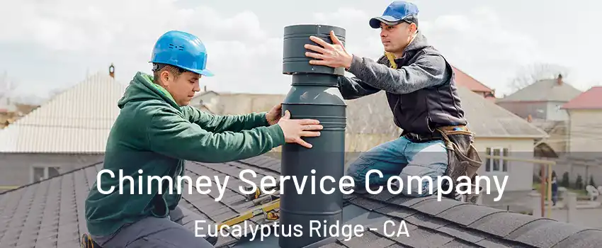 Chimney Service Company Eucalyptus Ridge - CA