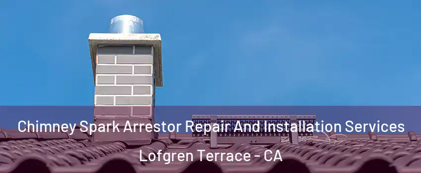 Chimney Spark Arrestor Repair And Installation Services Lofgren Terrace - CA