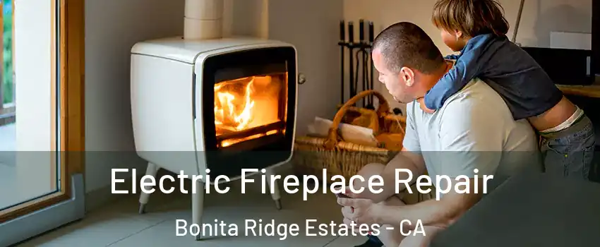 Electric Fireplace Repair Bonita Ridge Estates - CA