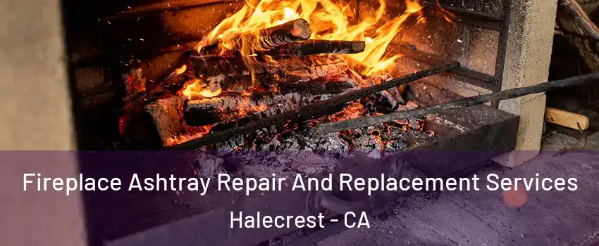 Fireplace Ashtray Repair And Replacement Services Halecrest - CA