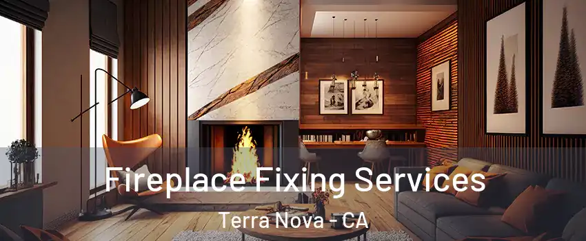 Fireplace Fixing Services Terra Nova - CA