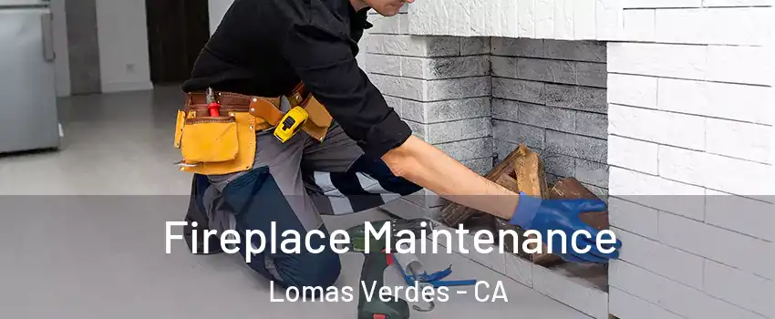 Fireplace Maintenance Lomas Verdes - CA