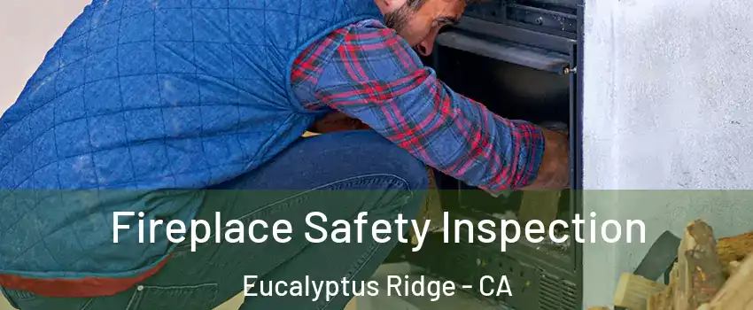 Fireplace Safety Inspection Eucalyptus Ridge - CA