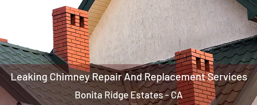 Leaking Chimney Repair And Replacement Services Bonita Ridge Estates - CA