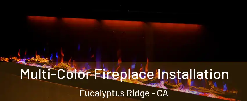 Multi-Color Fireplace Installation Eucalyptus Ridge - CA