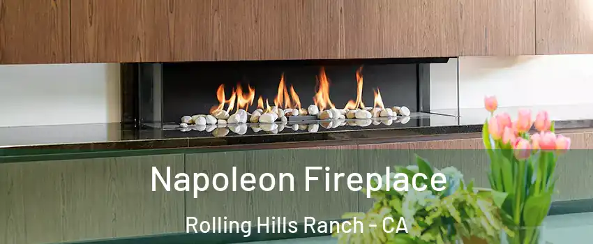 Napoleon Fireplace Rolling Hills Ranch - CA