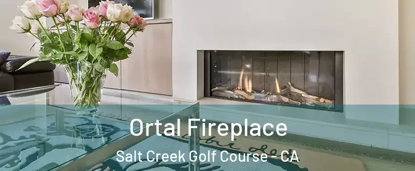 Ortal Fireplace Salt Creek Golf Course - CA