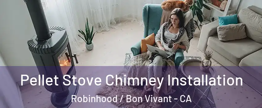 Pellet Stove Chimney Installation Robinhood / Bon Vivant - CA